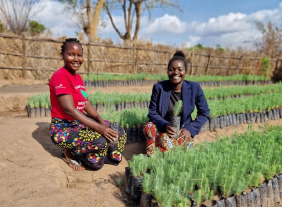 Une image de deux personnes s’occupant de plantes
